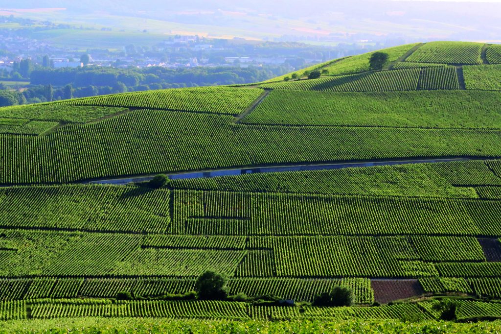 Maps The Champagne Guide   Ay IMG 3180 1024x682 